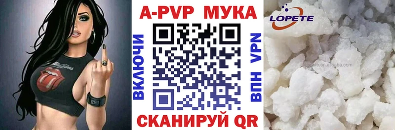 omg как войти  Боготол  Альфа ПВП СК КРИС  купить  сайты 