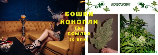 прущие грибы Нефтегорск