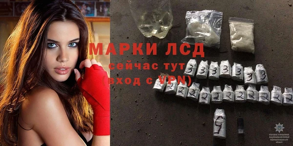 прущие грибы Нефтегорск