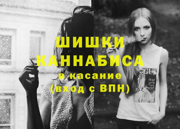 прущие грибы Нефтегорск