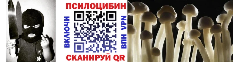 наркошоп  Боготол  Псилоцибиновые грибы мицелий 